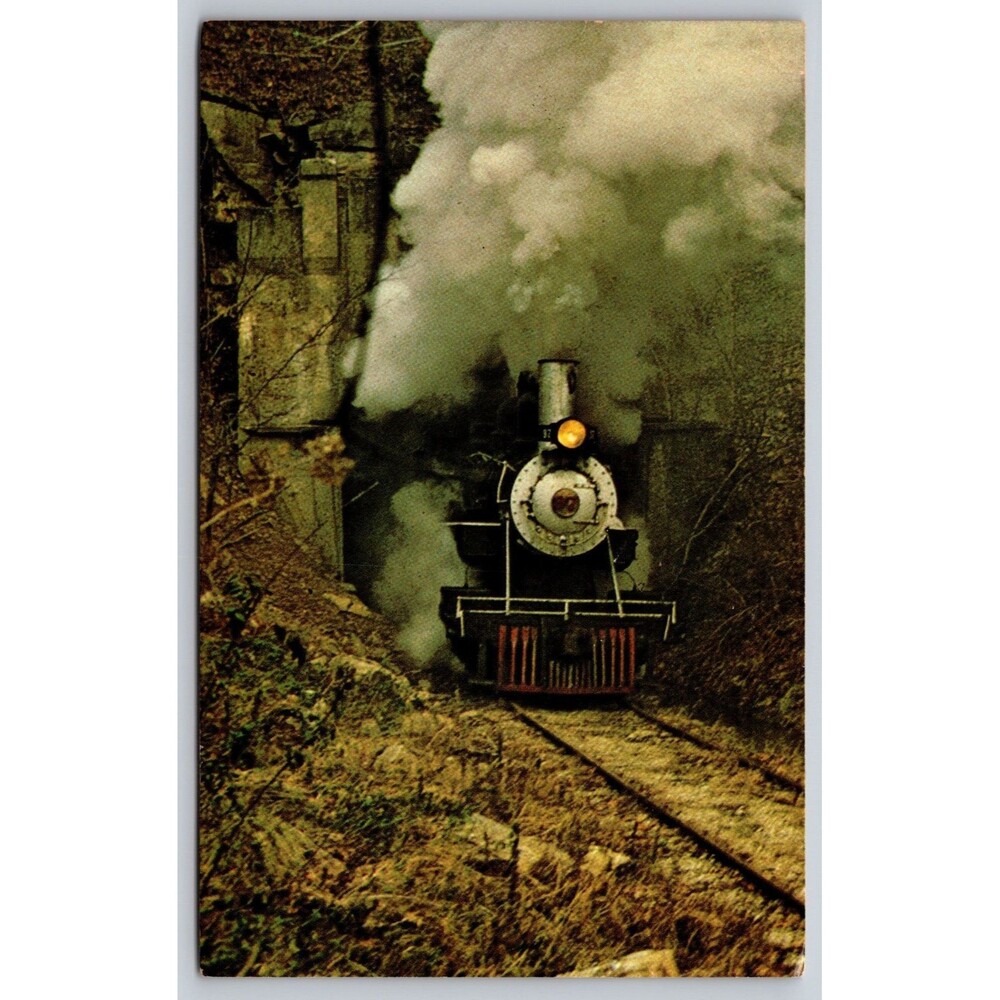 Vintage Postcard 1925 Baldwin Sream Engine 97 Bunon Tunnel French Lick IN c1970s